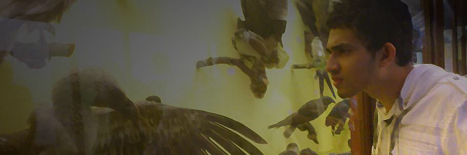 Shalinii_'s profile banner image