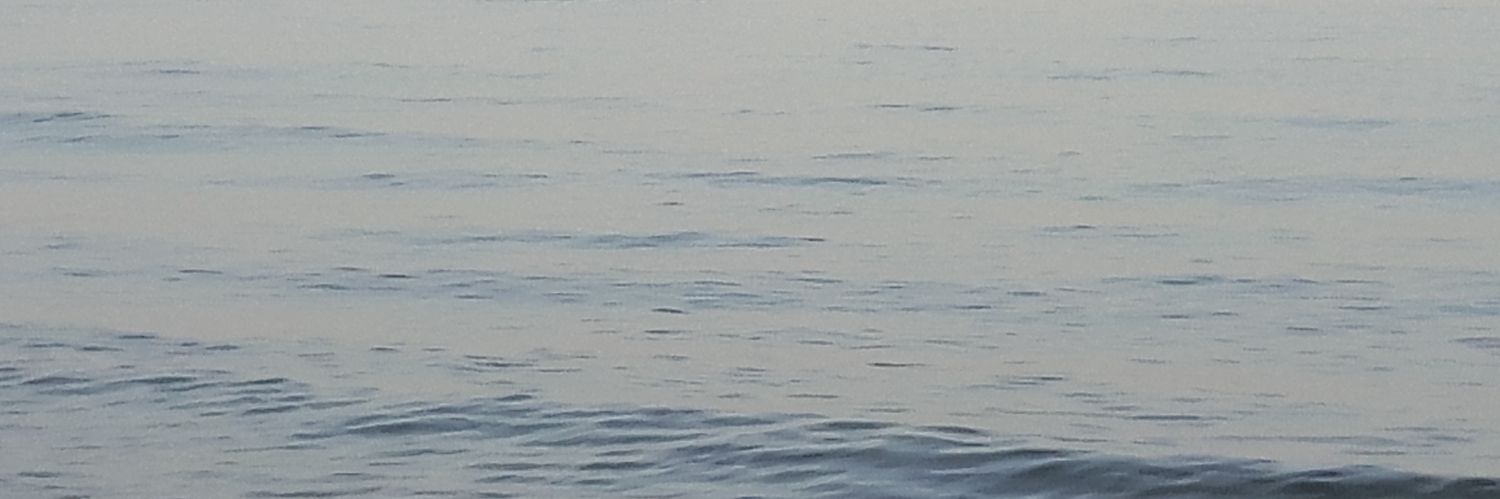 rosaloca41's profile banner image