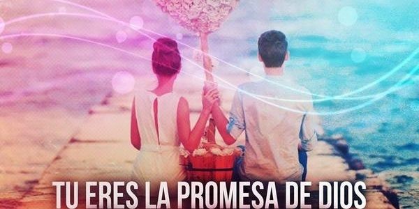 malibu_steisy's profile banner image