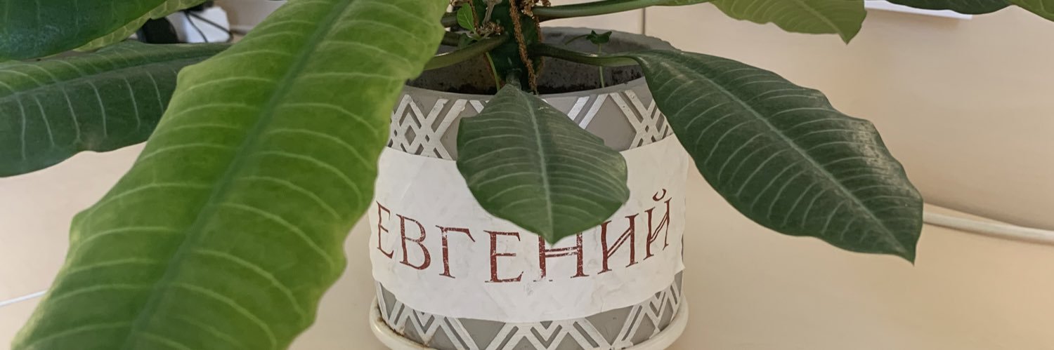 SANTANA PRIME banner