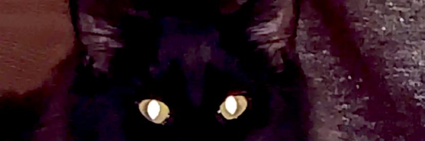2deadd's profile banner image