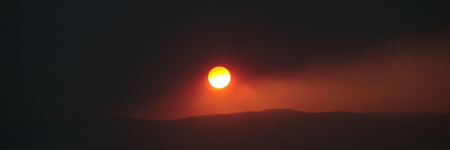 malmeidaphoto's profile banner image