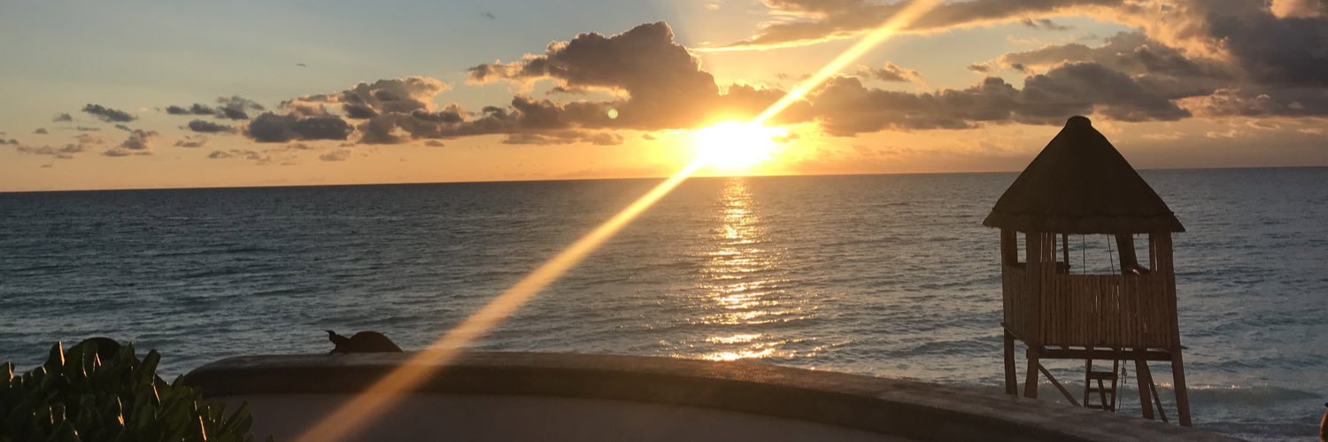 srleccese's profile banner image