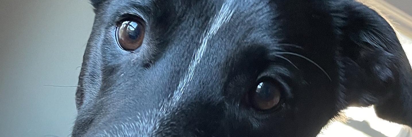HowardHembree's profile banner image