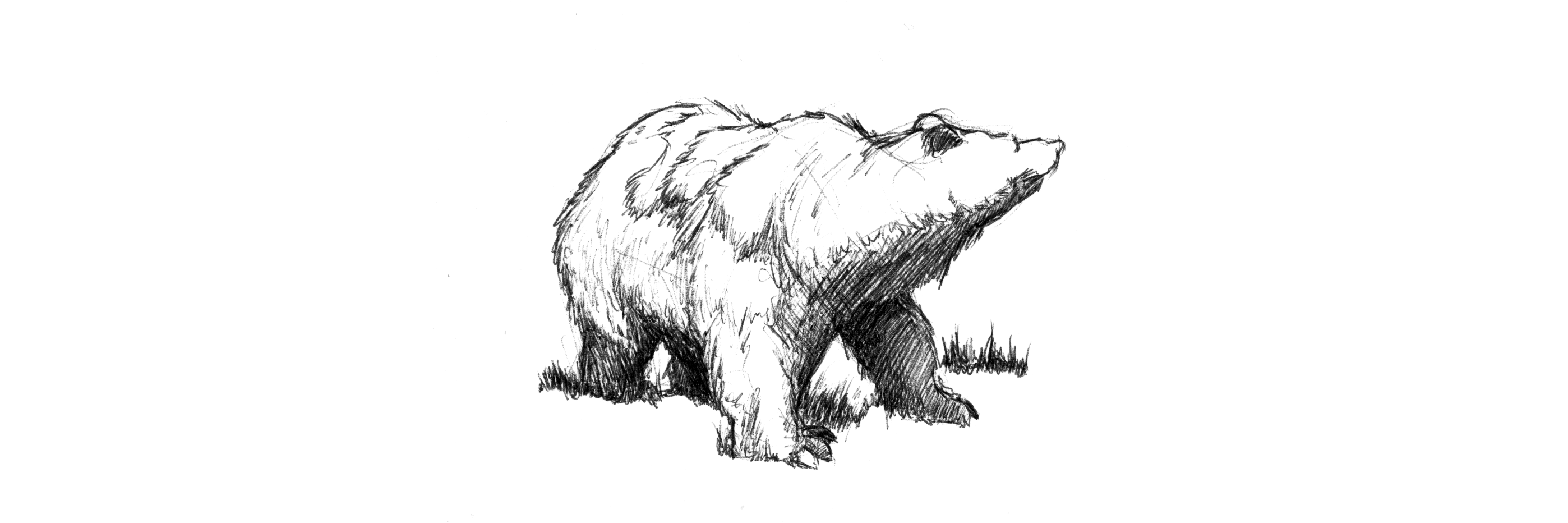 RicoMoorman's profile banner image
