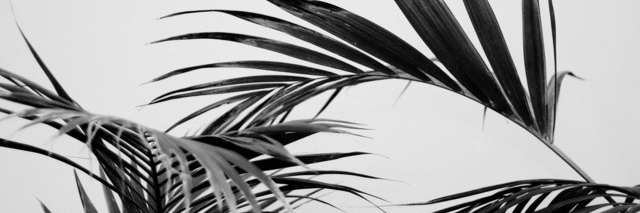 trishssue's profile banner image