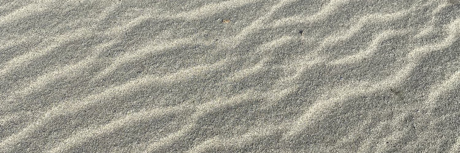 andreavallam's profile banner image