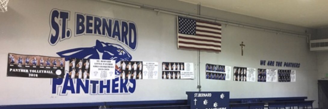 SBPanthers's profile banner image