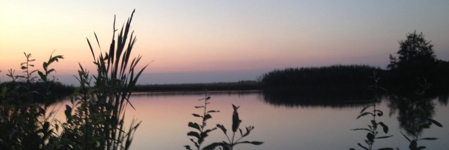 ProfileCat's profile banner image