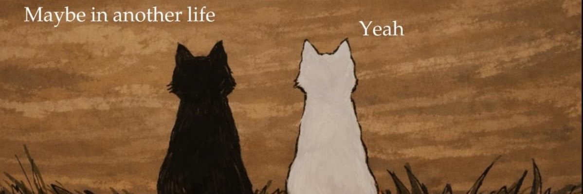 Scotttttpilgrim's profile banner image