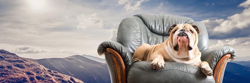 MyExpatNet's profile banner image