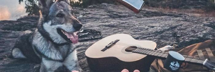 Wolfvlny's profile banner image