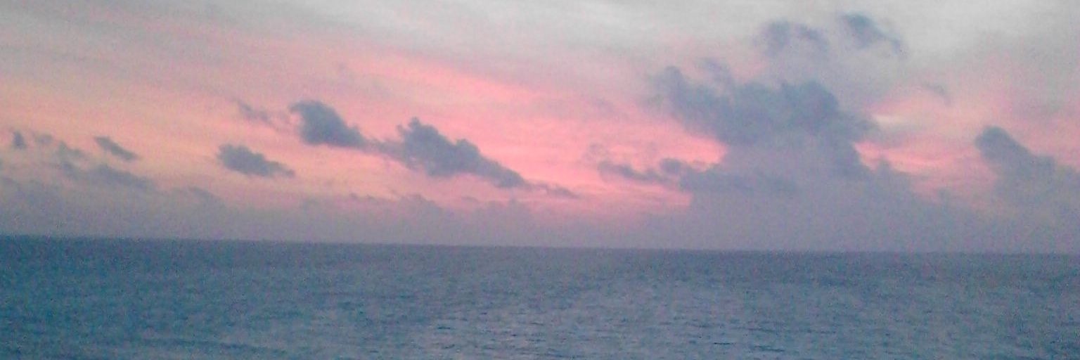 msoglecolleg's profile banner image