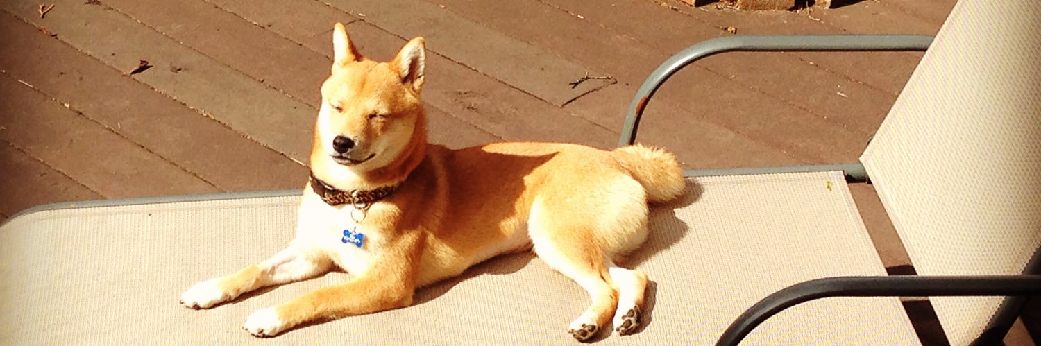 DANIEL CHABON banner