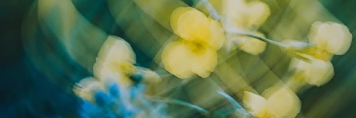 mysh910's profile banner image