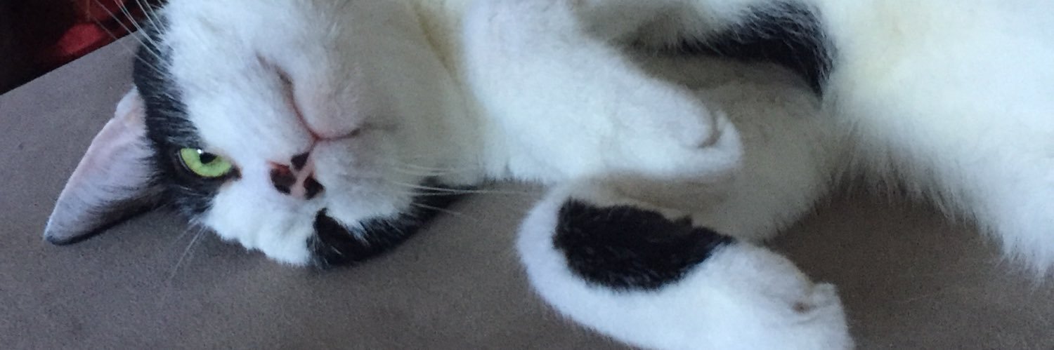 JennFifita's profile banner image