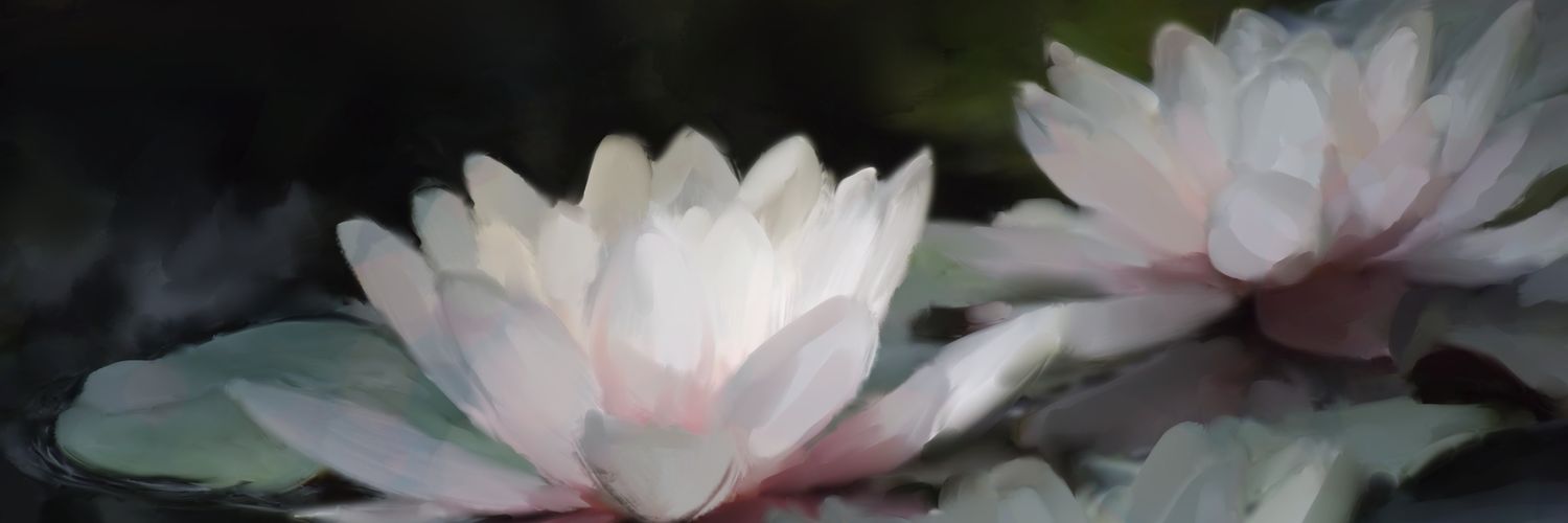 healingvisions.x banner