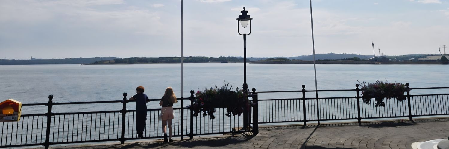 rachel_brannick's profile banner image