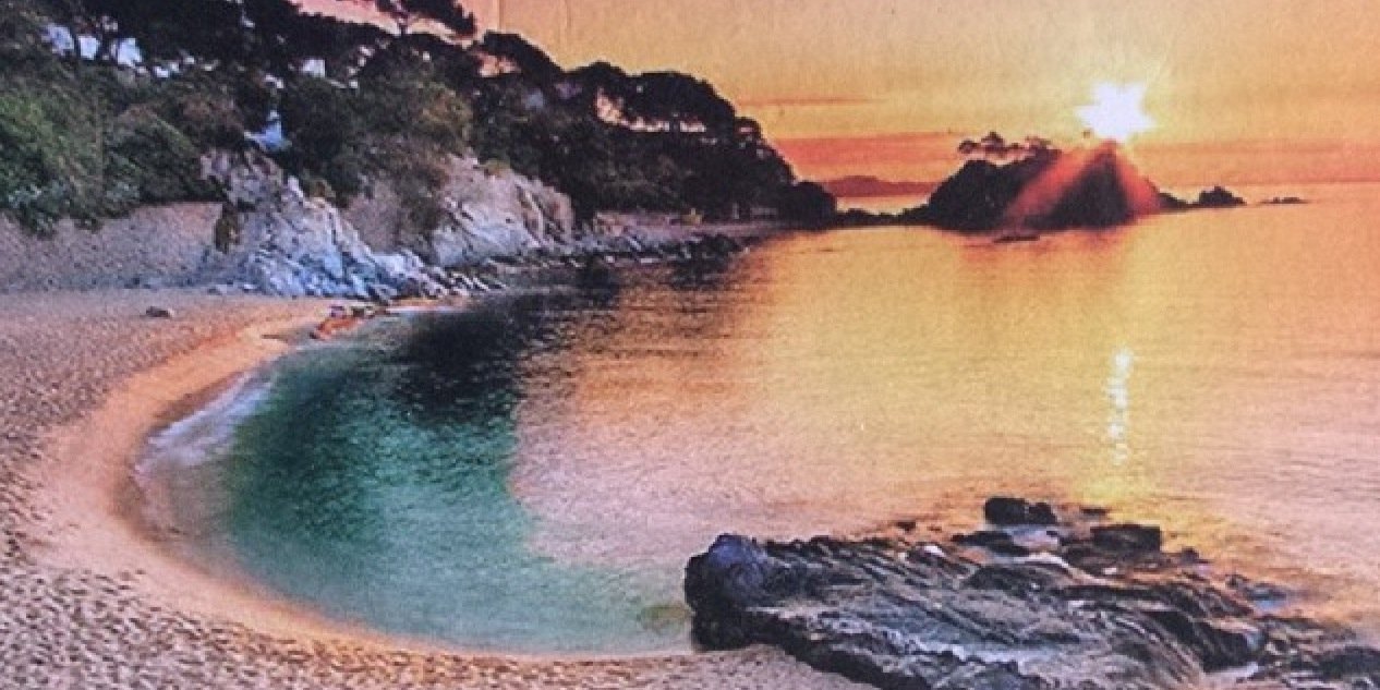 nsrn9629's profile banner image