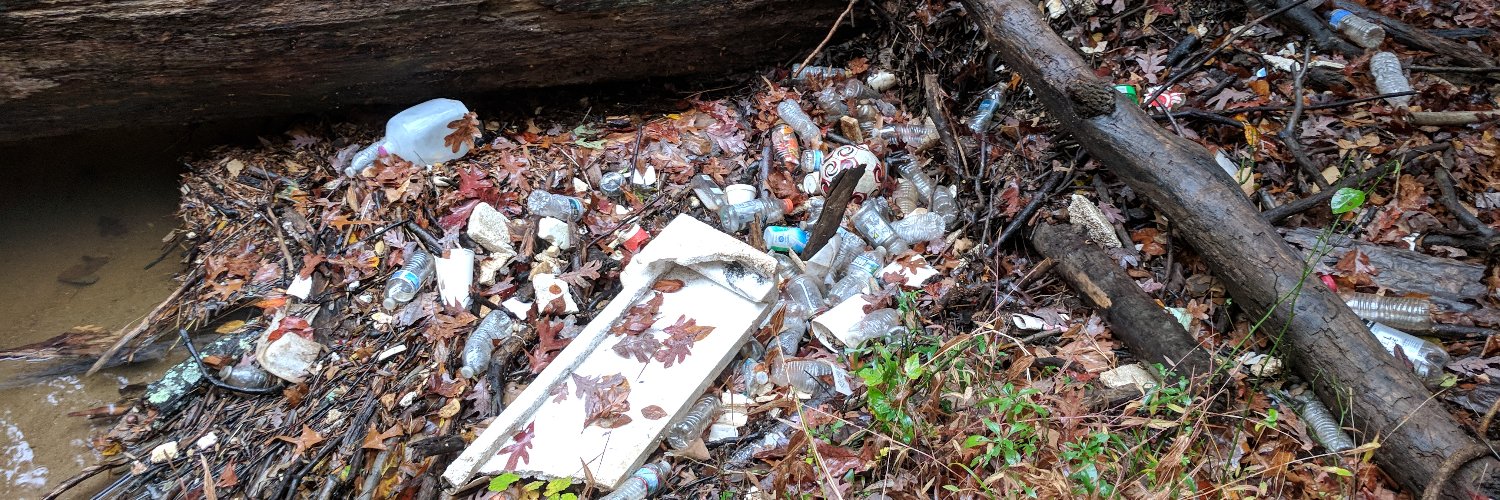 Clean Fairfax banner