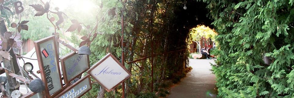 sobeca's profile banner image