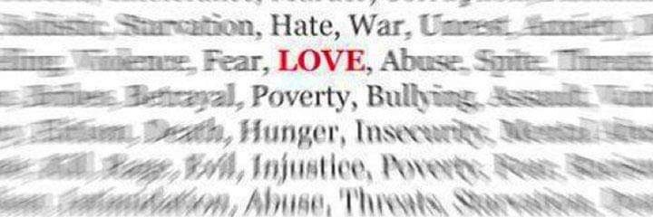 Sarah Whitehead banner