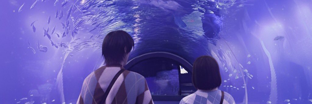 IO_tgi3016's profile banner image