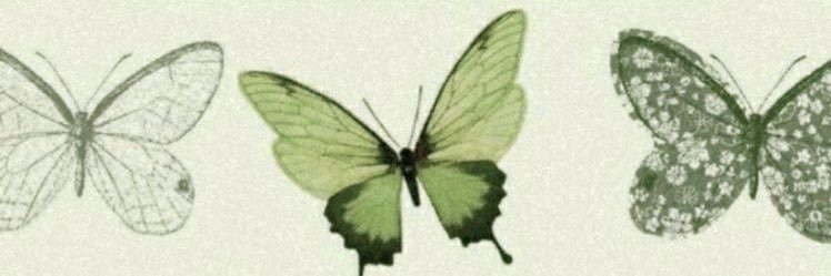 Amy banner