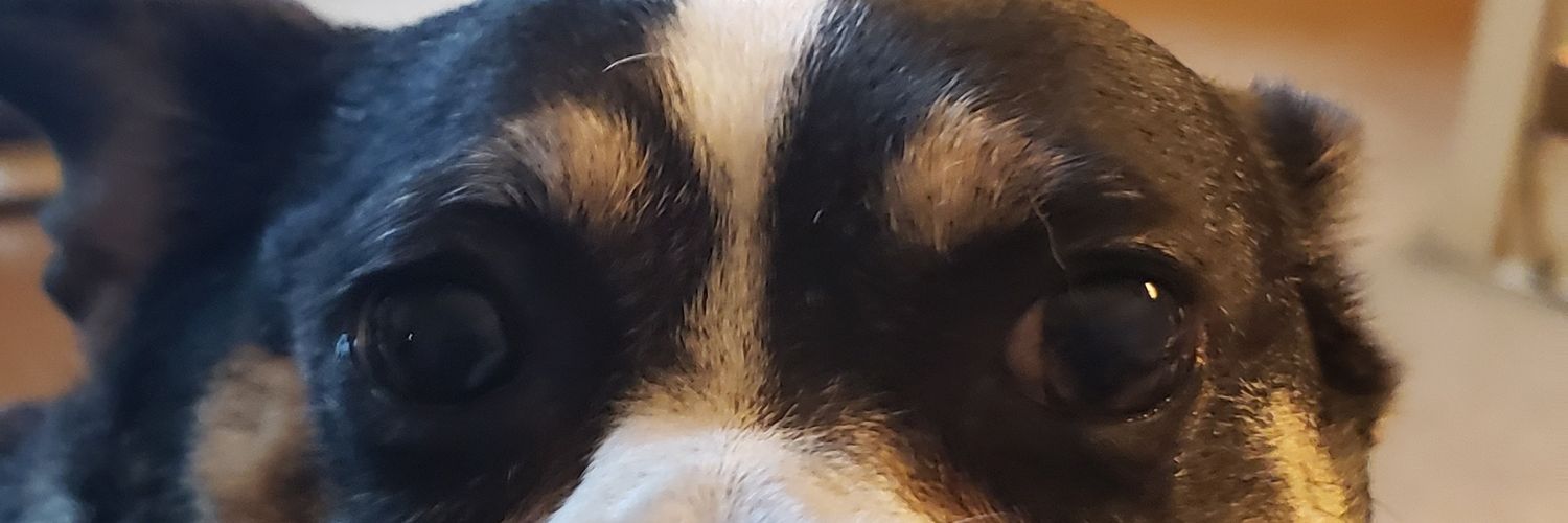 tech5960's profile banner image
