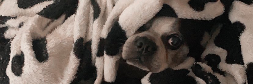 jojopneto's profile banner image