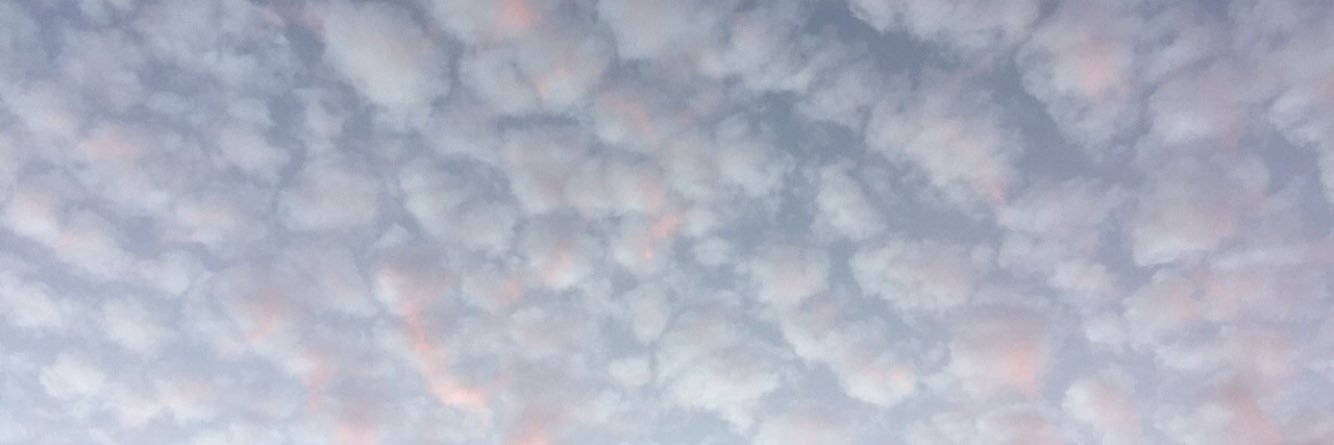 mmattson27's profile banner image