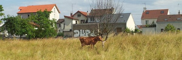 JeanphilippePie Profile Banner