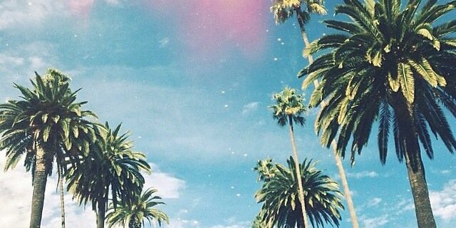 hellaellla's profile banner image