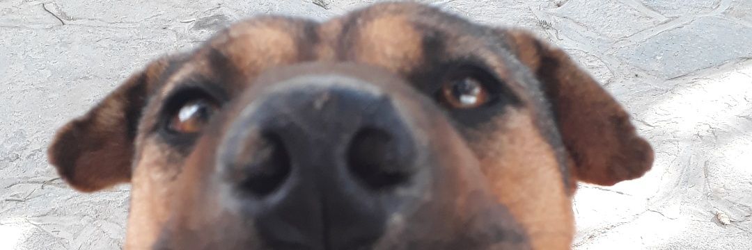 PauBntz's profile banner image