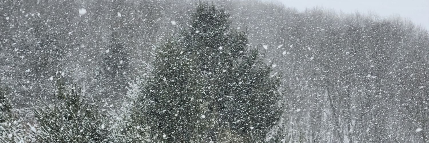 Laura J Drake banner