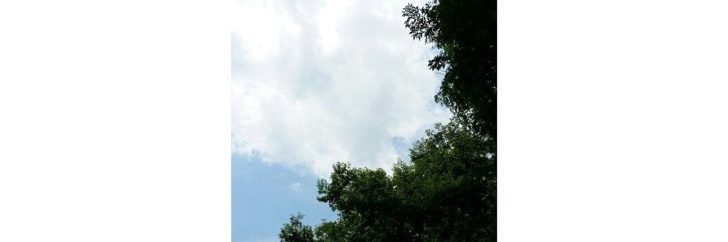 tsialsrb's profile banner image