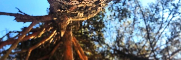 merveaks's profile banner image