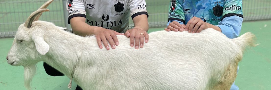 猪狩佑貴 banner