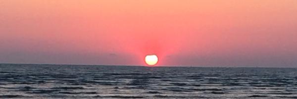 STEFTCHA Profile Banner