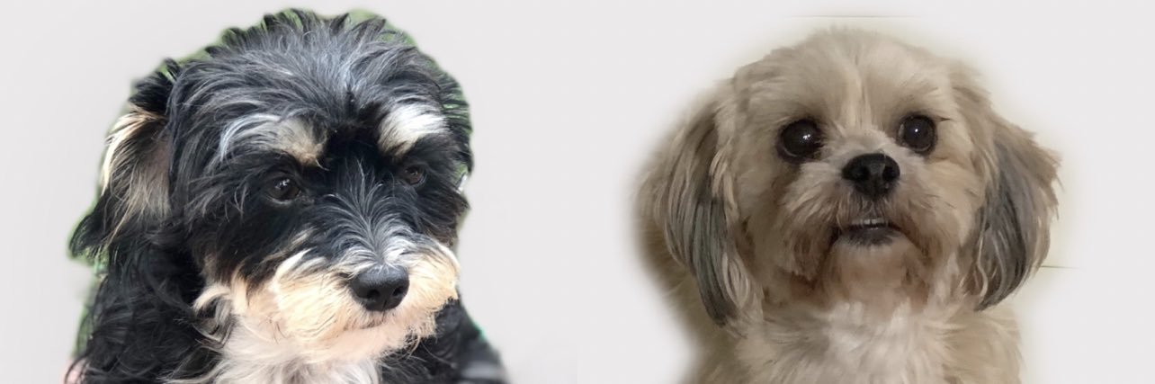 littlestephm_'s profile banner image