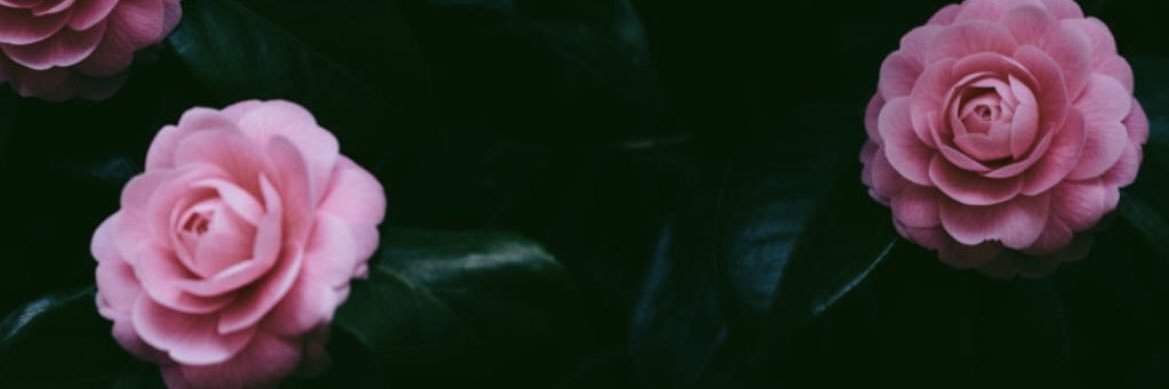 bngroves13's profile banner image