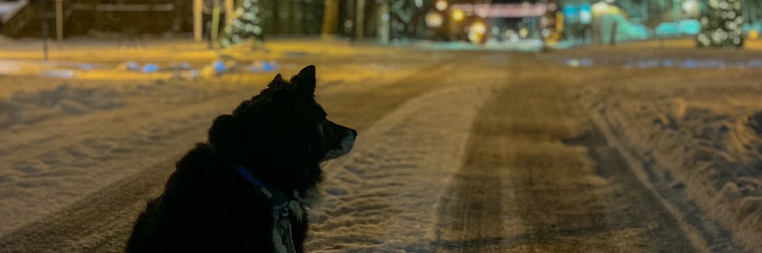jes_sliving's profile banner image