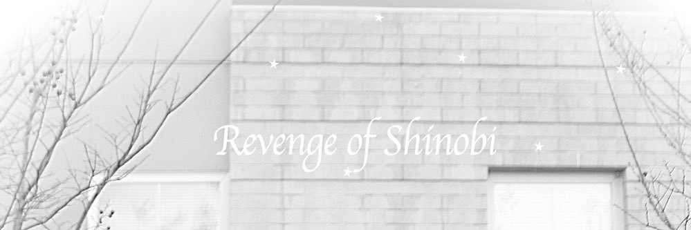 shinobithegod's profile banner image