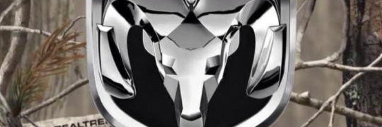natz_sa's profile banner image