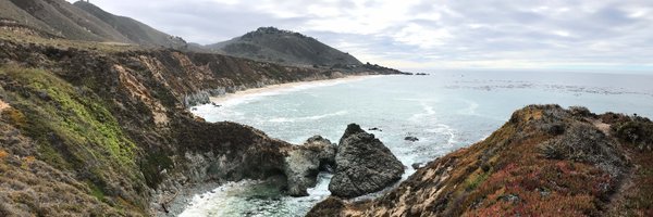 EdibleMontBay Profile Banner