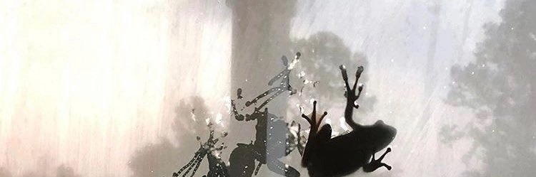 pleasant_inside's profile banner image