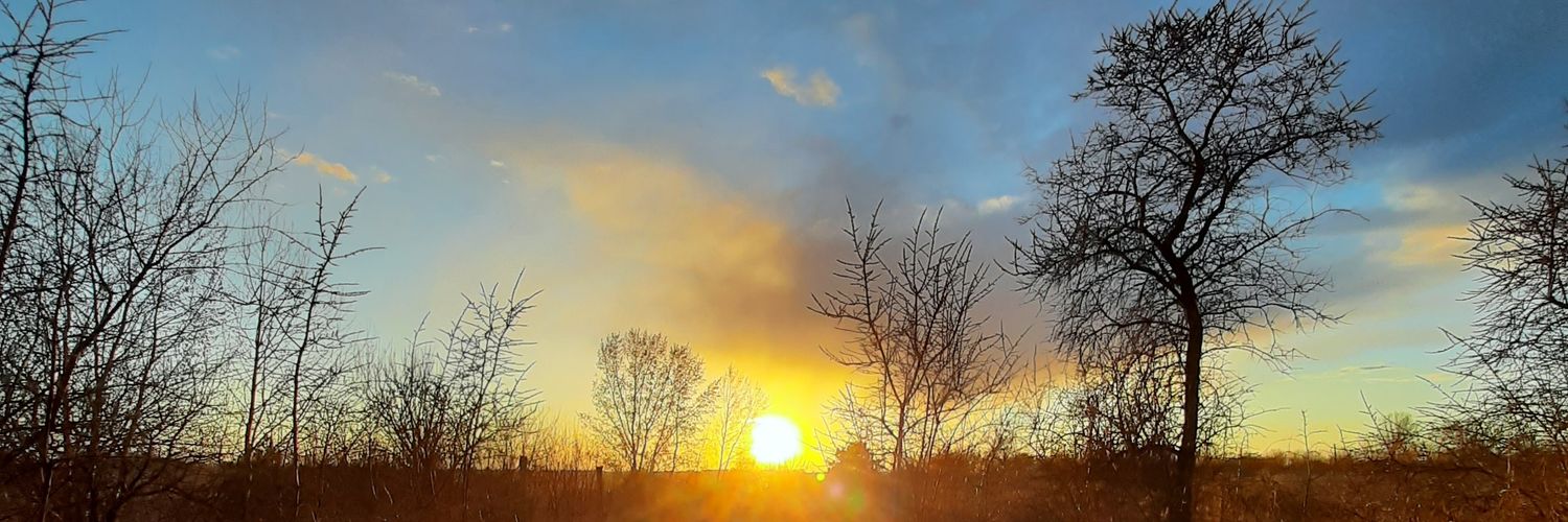 SeriyAleks's profile banner image