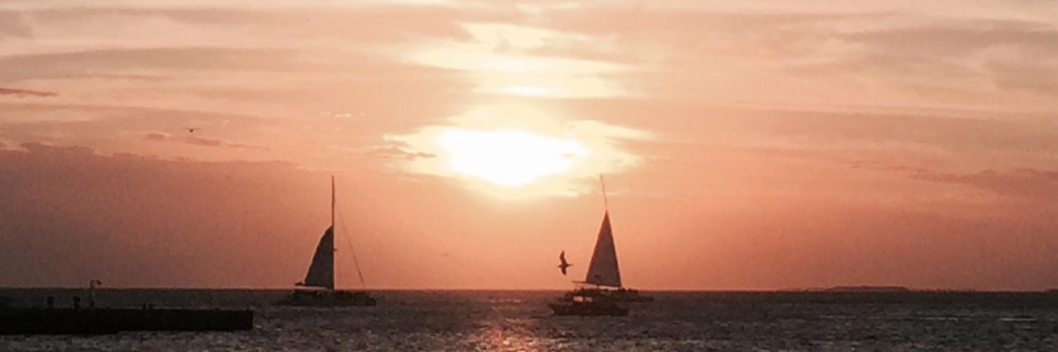 andysechler's profile banner image