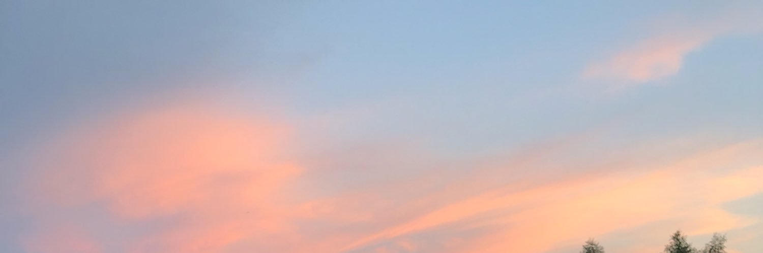 Deniise_Bee's profile banner image