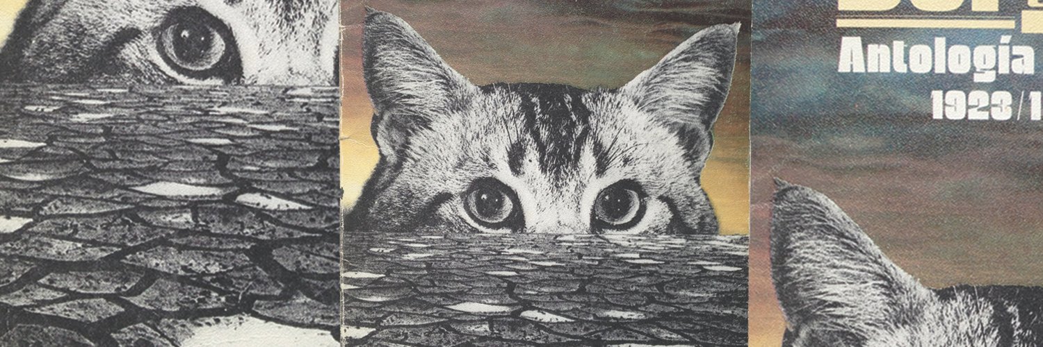 nyanlasers's profile banner image